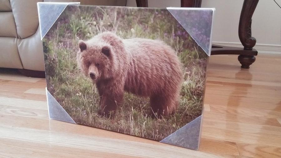 1080P IP WIFI SPY NANNY CAM CAMERA SECRET DISCREET PAINTING-SPYMODS