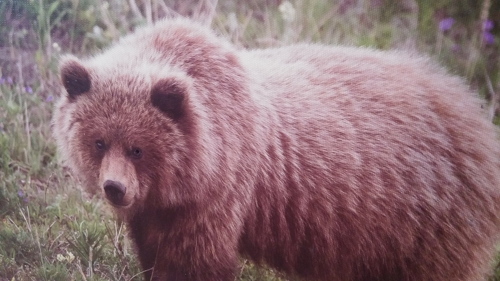 1080P IP WIFI SPY NANNY CAM CAMERA SECRET DISCREET PAINTING-SPYMODS