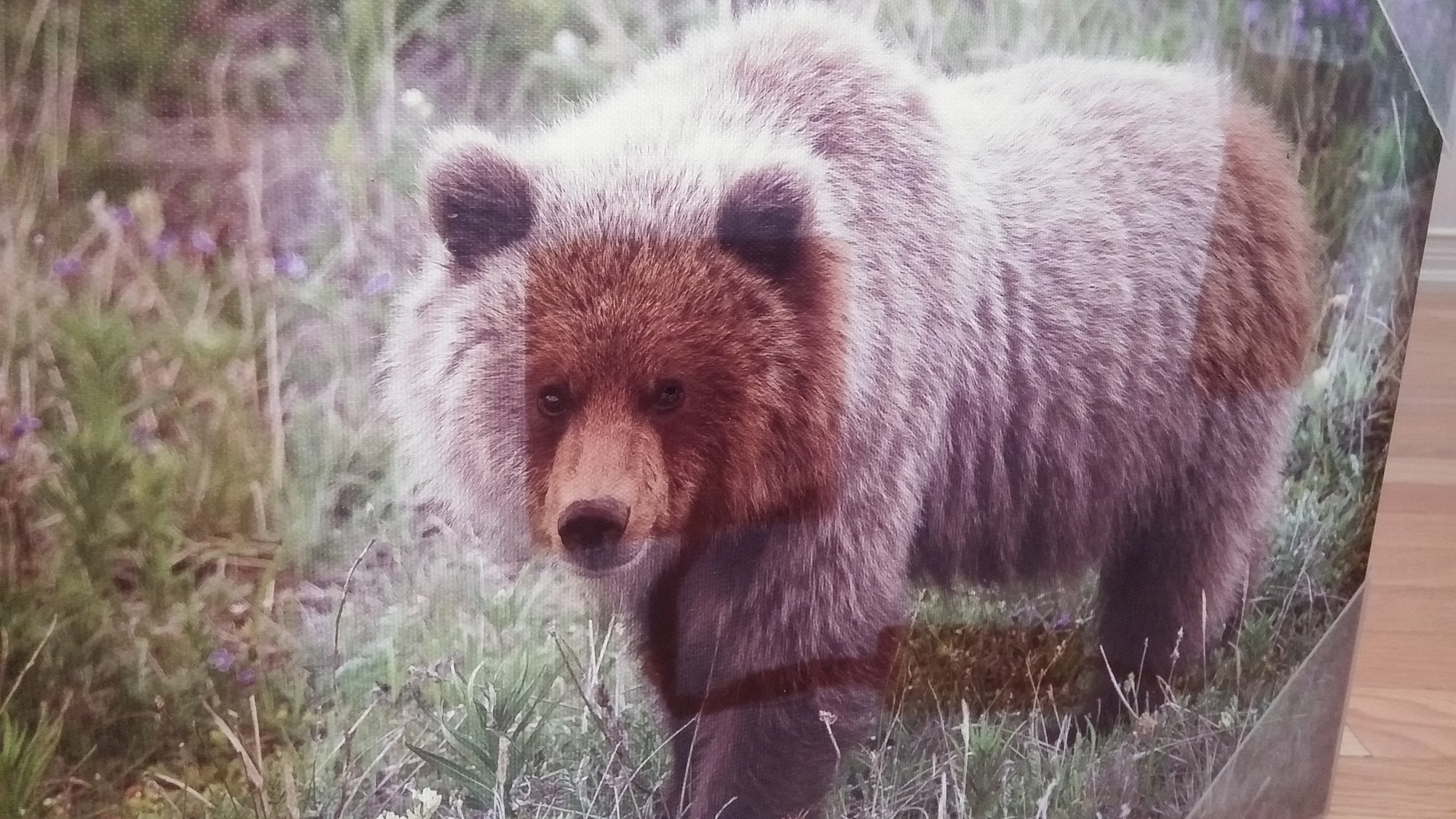 1080P IP WIFI SPY NANNY CAM CAMERA SECRET DISCREET PAINTING-SPYMODS